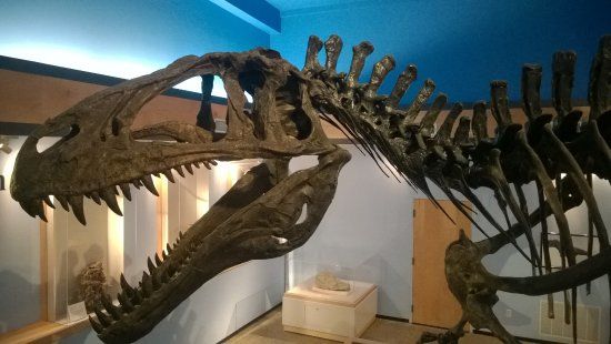 Museum of the Red River